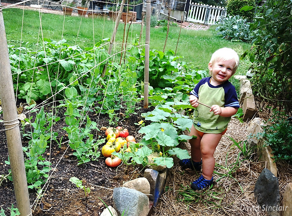 our garden